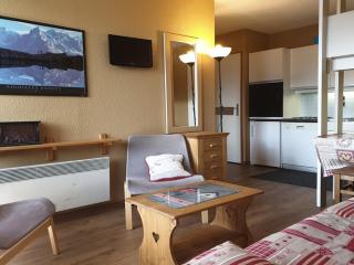 Appartement proche des pistes - FR-1-275-168 - 8