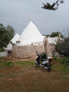 TRULLO ZAPPA D'ARGENTO IN SALENTO - Francavilla Fontana - 6