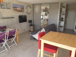 Les Maisons sur la plage, T2 les pieds dans l'eau - 5