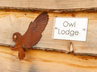 Owl Lodge - Wedmore - 9