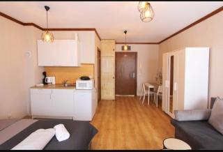 Luxury Suite Ivana - Bansko - 4