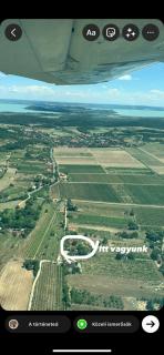 Szőlőskert vendégház - Balatonszőlős - 2