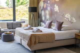 La Marquise luxe vakantiehuis - Budel - 3