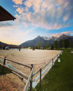 Landhotel Strasserwirt - 4