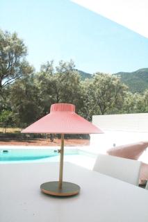 Splash Suites with Private Pools - Nikiana - 7