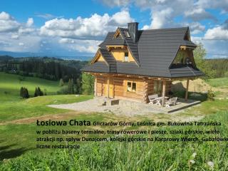 Łosiowa Chata Leśnica Gliczarów Górny - Leśnica - 9