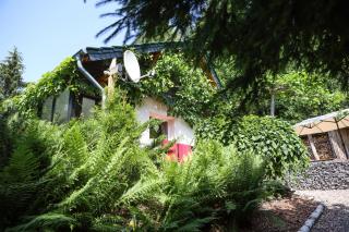 Idyllisches Ferienhaus am Wald - Möhrenbach - 8