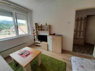 Apartman Trg Višegrad - Višegrad - 5