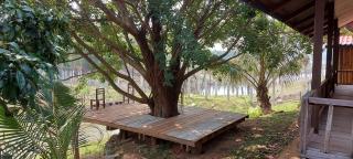 Mind House Bungalow - Nam Theun - 5