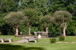 Château du Clair de Lune - Boutique Luxury Hotel - Biarritz - 2