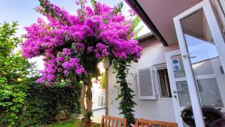 Holiday home Zora - family vacation house near protected area of the Nature Park Kamenjak, with green yard, WiFi, Air-con - Premantura - 0