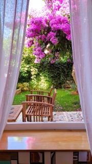 Holiday home Zora - family vacation house near protected area of the Nature Park Kamenjak, with green yard, WiFi, Air-con - Premantura - 1