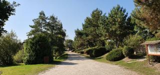 Sárberki Horgásztó - 8