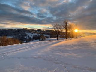 Maison chez Louis - 8