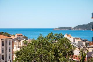 Olive Garden Apartments - Sveti Stefan - 0