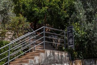 Olive Garden Apartments - 1