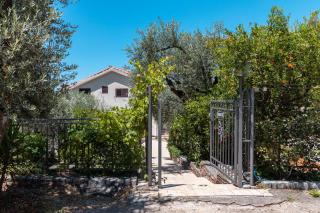 Olive Garden Apartments - Sveti Stefan - 8