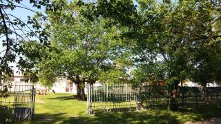 Villa Luna a pochi passi dalla spiaggia - 5