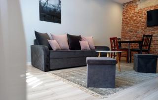 Klaipeda city center apartment - Klaipėda - 9
