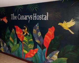 The Canarys Hostal - 0