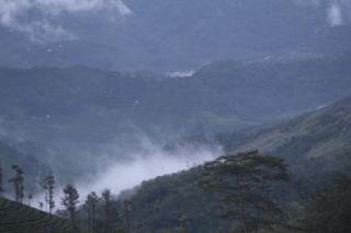 Pine Clough Resort Vagamon - 8