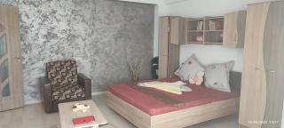 Garsonieră SORIN - 4