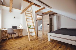 Drive Caffe Apartments - Trzin - 6