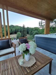 Villa Magnolia - Sveti Martin na Muri - 9
