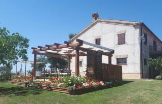 B&B I Pini Di Storaco - Filottrano - 7