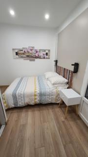 Joli appartement rénové avec terrasse - Brides-les-Bains - 4