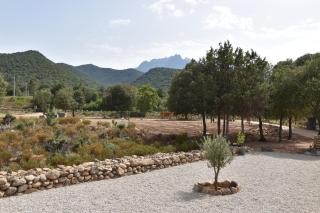 Domaine U Filanciu - Casa Chiara - Centru di Corsica - Moltifao - 3