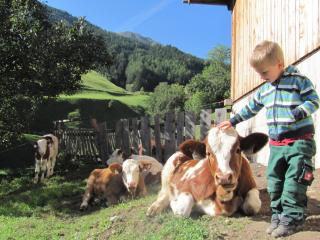 Lampeterhof - Matrei in Osttirol - 5