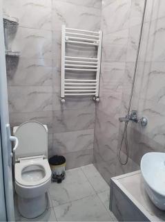Nari Apartment - Bordzjomi - 3