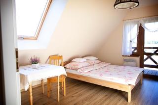 Dzika Stokrotka - Idzików - 2