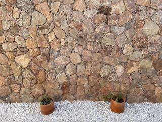 Casa El Naranjo, Rodalquilar, Parque Natural de Cabo de Gata - Rodalquilar - 5