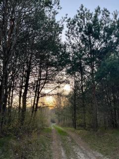 Wiejski domek w środku lasu Osłowo Mielnik - Mierzwice Stare - 4