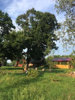 Wiejski domek w środku lasu Osłowo Mielnik - Mierzwice Stare - 5