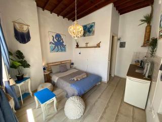 Octopus Blue - Mykonos-stad - 9