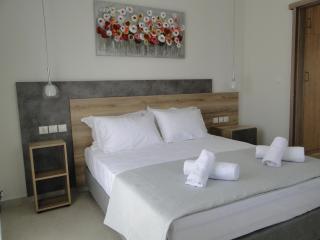 Chrysanthe's Apartments No1 - Poros - 0
