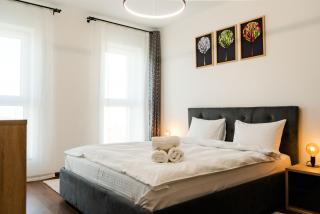 Apart B&V 55 Qualis - Luxury Mountain Escape - Braşov - 9