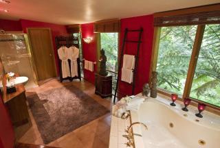 Linden Gardens Rainforest Retreat - 1