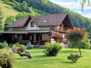 Casa de Piatra - Strungari - 5