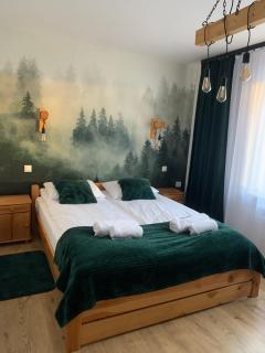 Domek na Malniku - Muszyna - 1