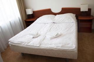 Elita Hotel & Restauracja - Iwonicz-Zdrój - 9