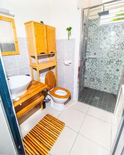 Evasion en plein cœur de la ville T3 Jacuzzis Sauna et piscine au centre de Port-Louis - Port-Louis - 1