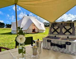 Hartridge Springs - Honiton - 5