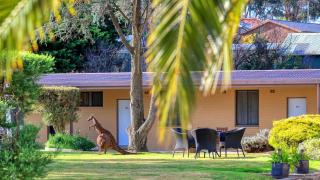 Hamilton Hume Motor Inn - Yass - 9