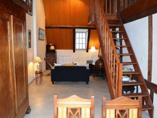 Appartement de charme au pied du Château d'Amboise, centre-ville, 2 chambres, mezzanine, WiFi - FR-1-381-250 - Amboise - 3