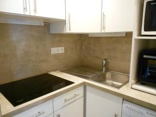 Appartement rénové, accès direct pistes, piscine, animaux admis - FR-1-267-228 - Le Corbier - 9