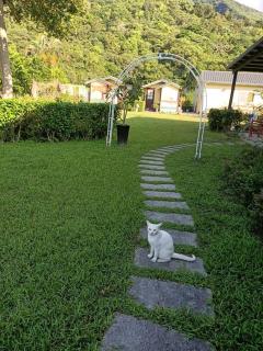 楓林288 Maple 288 B&B - 1